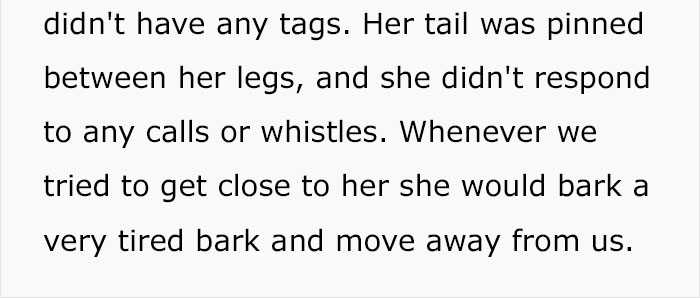 Woman Wants To Adopt A Starved And Terrified Dog, But Her Boyfriend's Response Will Break Your Heart Woman Wants To Adopt A Starved And Terrified Dog, But Her Boyfriend's Response Will Break Your Heart