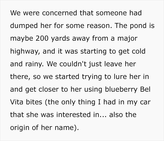 Woman Wants To Adopt A Starved And Terrified Dog, But Her Boyfriend's Response Will Break Your Heart Woman Wants To Adopt A Starved And Terrified Dog, But Her Boyfriend's Response Will Break Your Heart