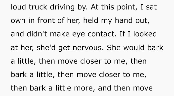 Woman Wants To Adopt A Starved And Terrified Dog, But Her Boyfriend's Response Will Break Your Heart Woman Wants To Adopt A Starved And Terrified Dog, But Her Boyfriend's Response Will Break Your Heart