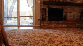 Boxer dog hilariously slides across living room rug, showing its playful and adorable nature.
