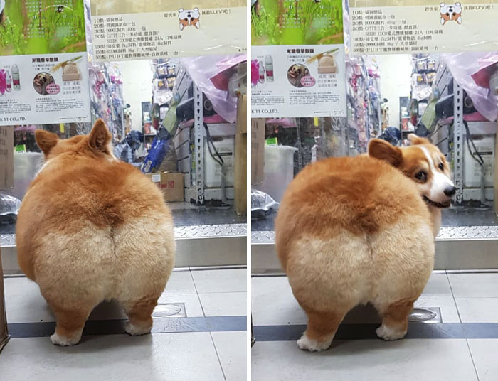 When You Catch Them Looking At Your Booty