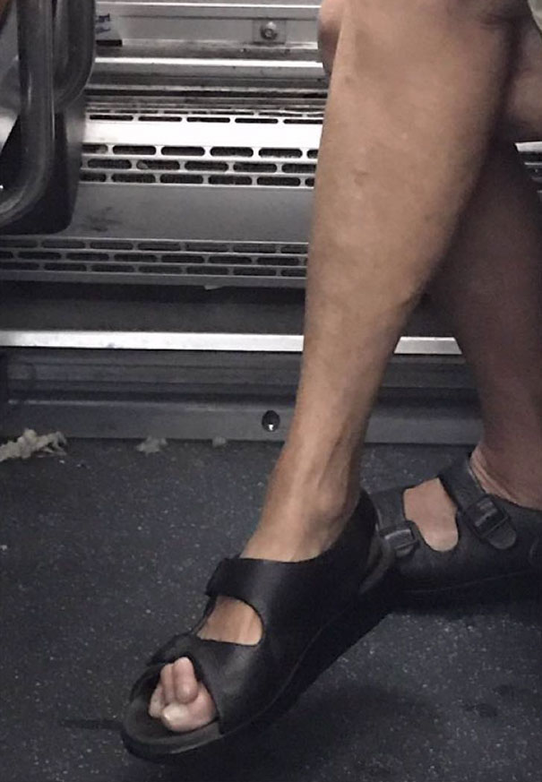 I Don't Know Where The Hell Those Little Piggys Went