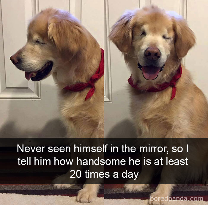 Never Seen Himself In The Mirror, So I Tell Him How Handsome He Is At Least 20 Times A Day