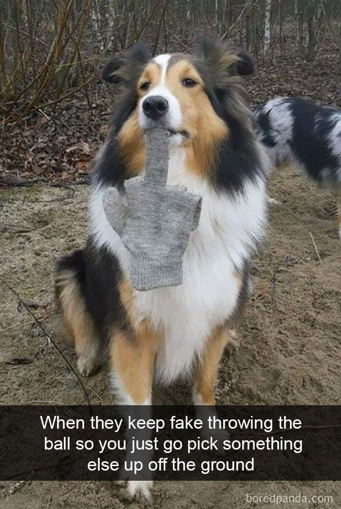 When They Keep Fake Throwing The Ball So You Just Go Pick Something Else Up Off The Ground