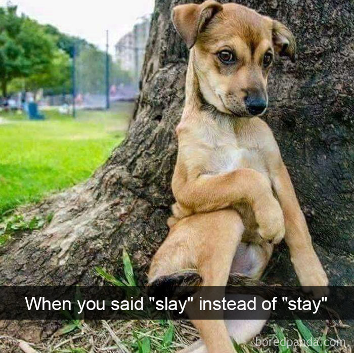 When You Said "Slay" Instead Of "Stay"