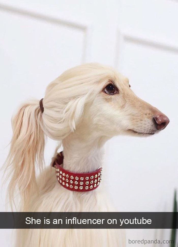 She Is An Influencer On Youtube