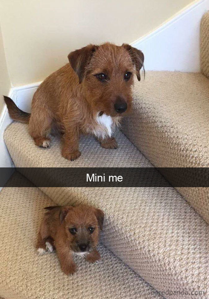 Mini Me