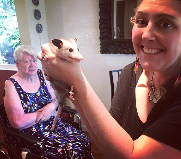 Pretty Much Sums It All Up