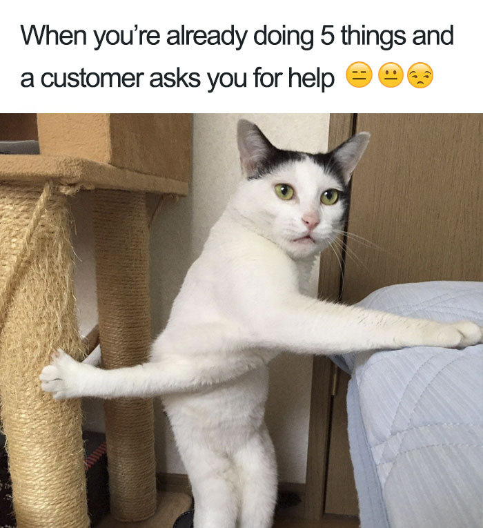Cat meme humorously depicting multitasking in a restaurant setting, holding a scratching post and looking exasperated.