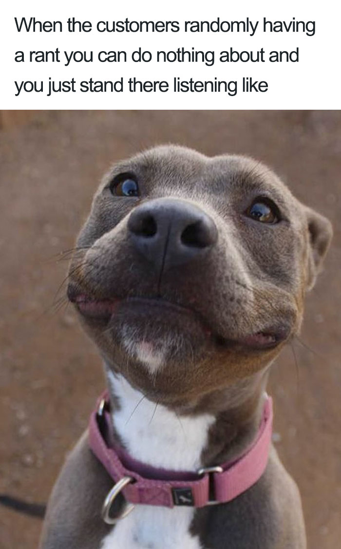 Cute dog with a funny expression matched with a restaurant meme caption about dealing with customer rants.