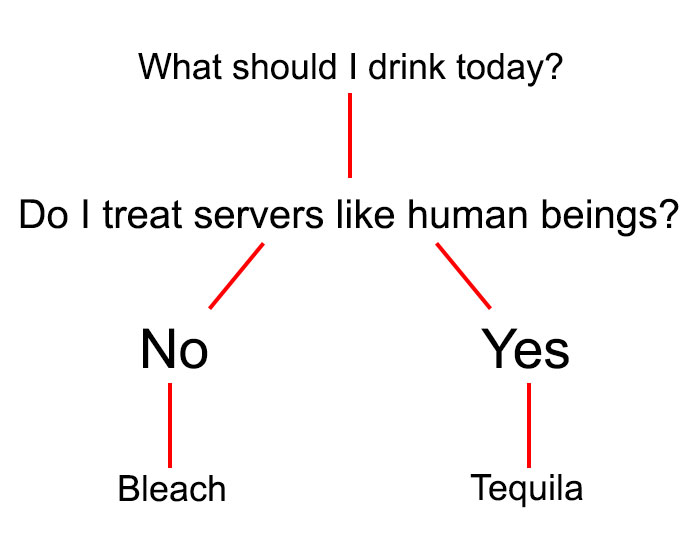 Flowchart meme humorously deciding drinks based on how people treat servers.