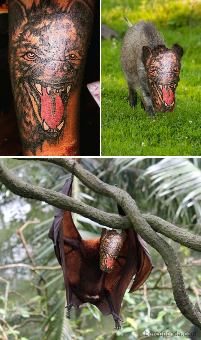 Face-swapped tattoos on animals, highlighting tattoo art transformations.