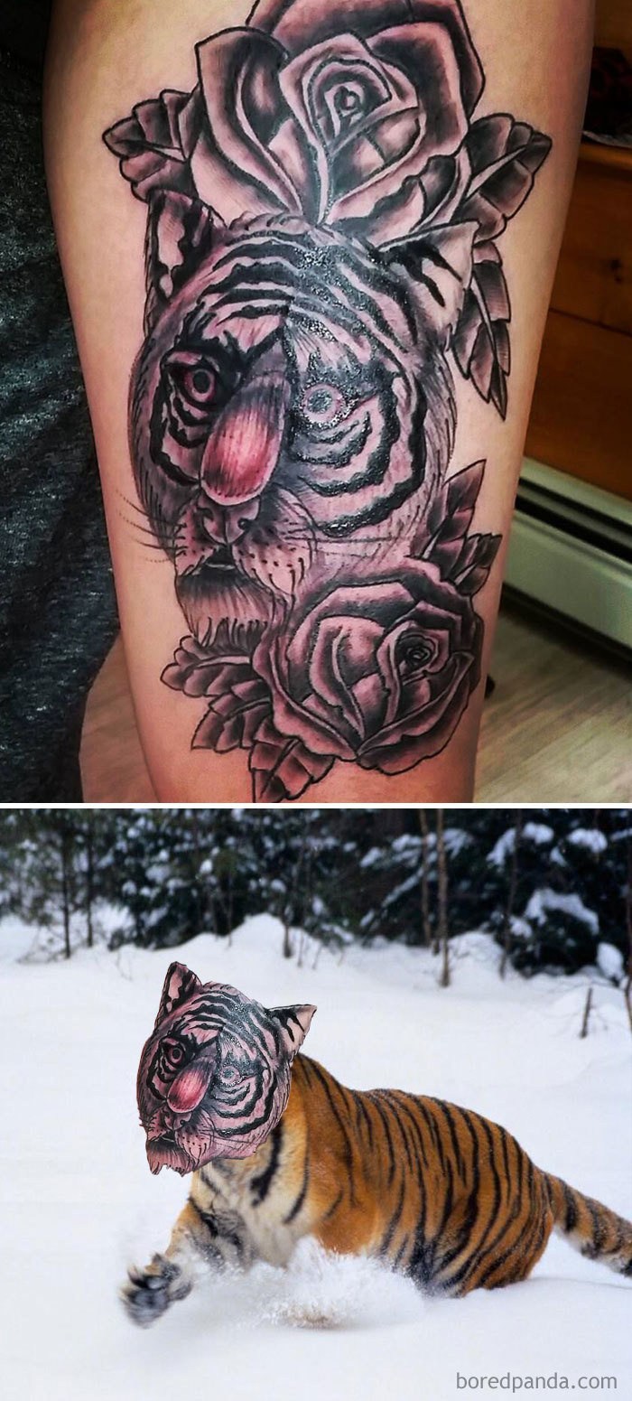 Tattoo face swap showing a tiger with mismatched features on leg and in snow.