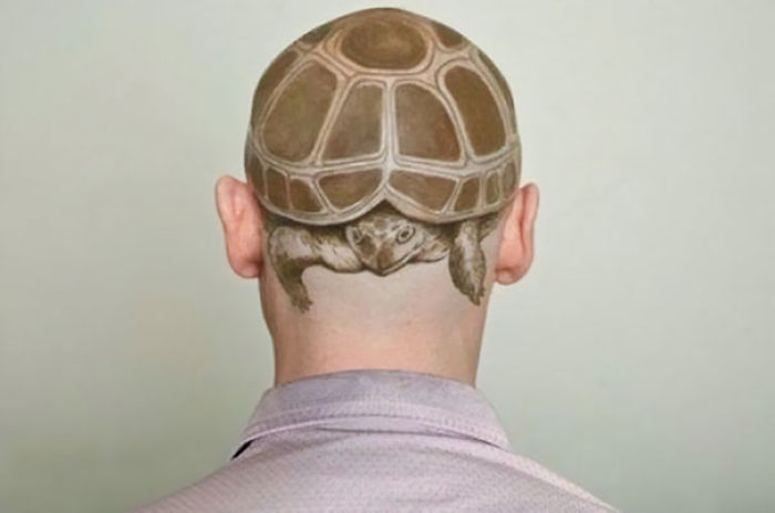 Turtle Head