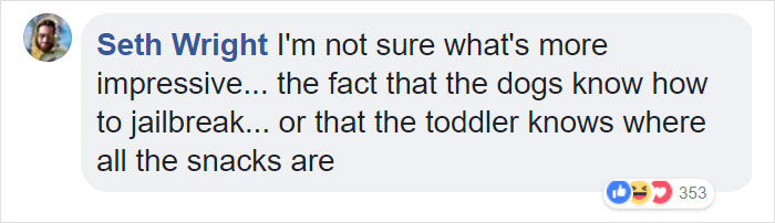 Parents Can't Believe Their Eyes After Seeing Security Tape: Dogs Help Toddler Escape Room So She'd Give Them Snacks Parents Can't Believe Their Eyes After Seeing Security Tape: Dogs Help Toddler Escape Room So She'd Give Them Snacks