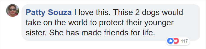 Parents Can't Believe Their Eyes After Seeing Security Tape: Dogs Help Toddler Escape Room So She'd Give Them Snacks