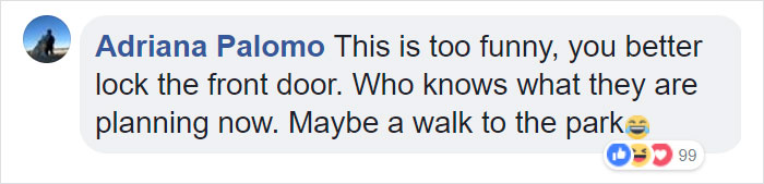 Parents Can't Believe Their Eyes After Seeing Security Tape: Dogs Help Toddler Escape Room So She'd Give Them Snacks Parents Can't Believe Their Eyes After Seeing Security Tape: Dogs Help Toddler Escape Room So She'd Give Them Snacks