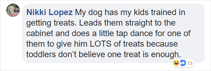 Parents Can't Believe Their Eyes After Seeing Security Tape: Dogs Help Toddler Escape Room So She'd Give Them Snacks Parents Can't Believe Their Eyes After Seeing Security Tape: Dogs Help Toddler Escape Room So She'd Give Them Snacks