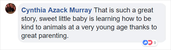 Parents Can't Believe Their Eyes After Seeing Security Tape: Dogs Help Toddler Escape Room So She'd Give Them Snacks