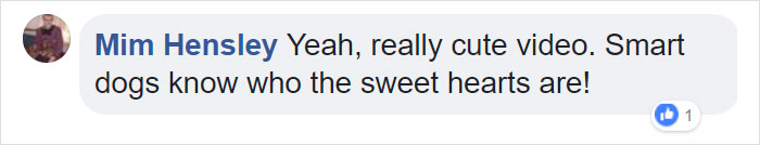 Parents Can't Believe Their Eyes After Seeing Security Tape: Dogs Help Toddler Escape Room So She'd Give Them Snacks