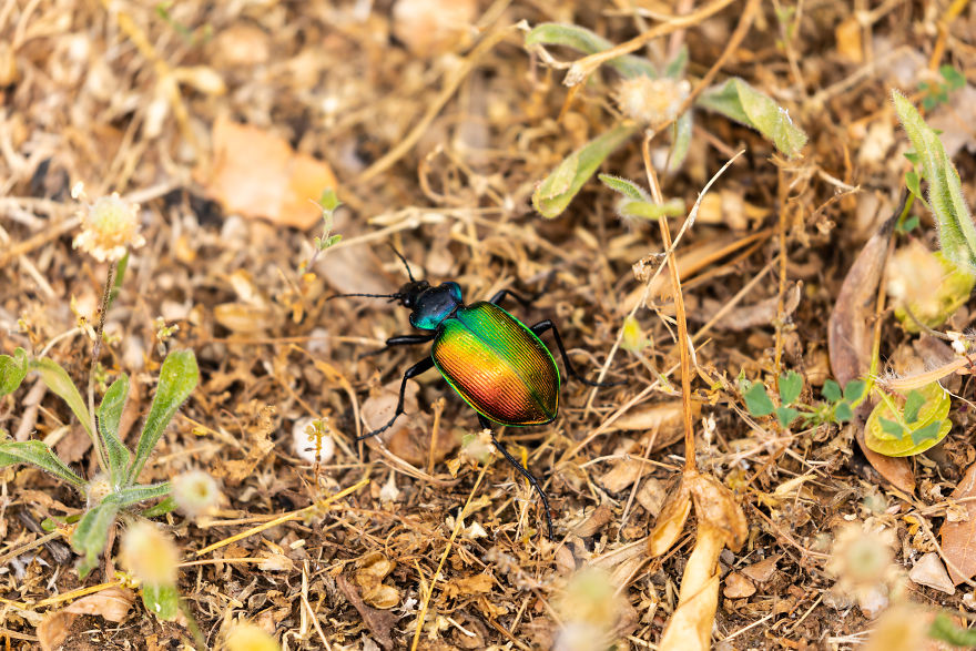 How Traveling Is Changing My Autistic Daughter