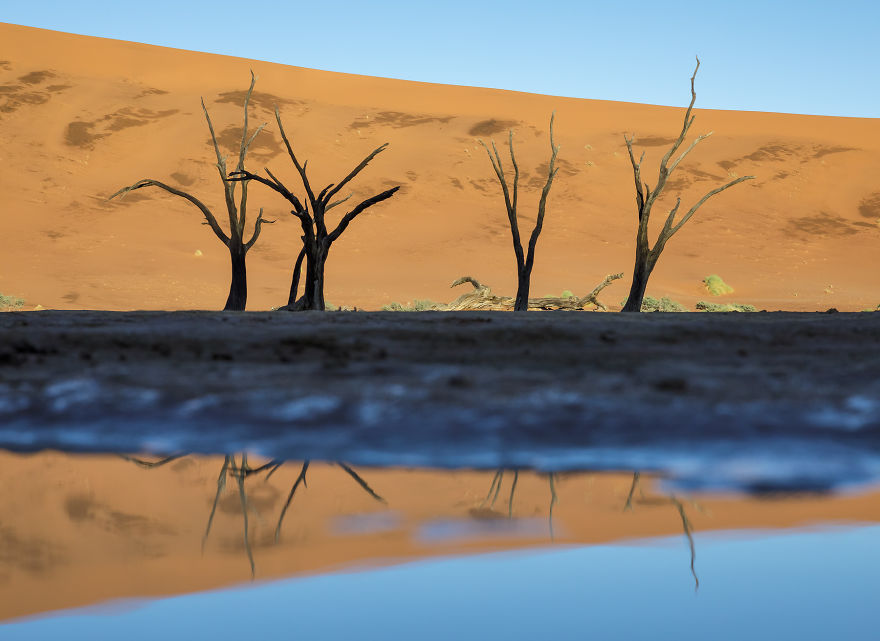Images Of The Dead Trees Of Deadvlei In Magical Mist After A Rainstorm