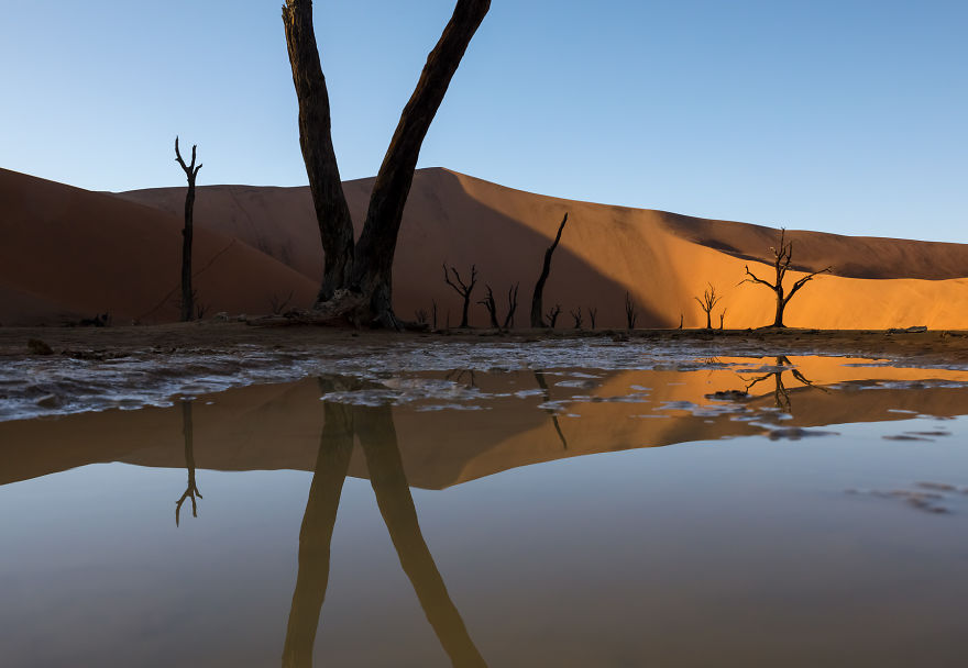 Images Of The Dead Trees Of Deadvlei In Magical Mist After A Rainstorm