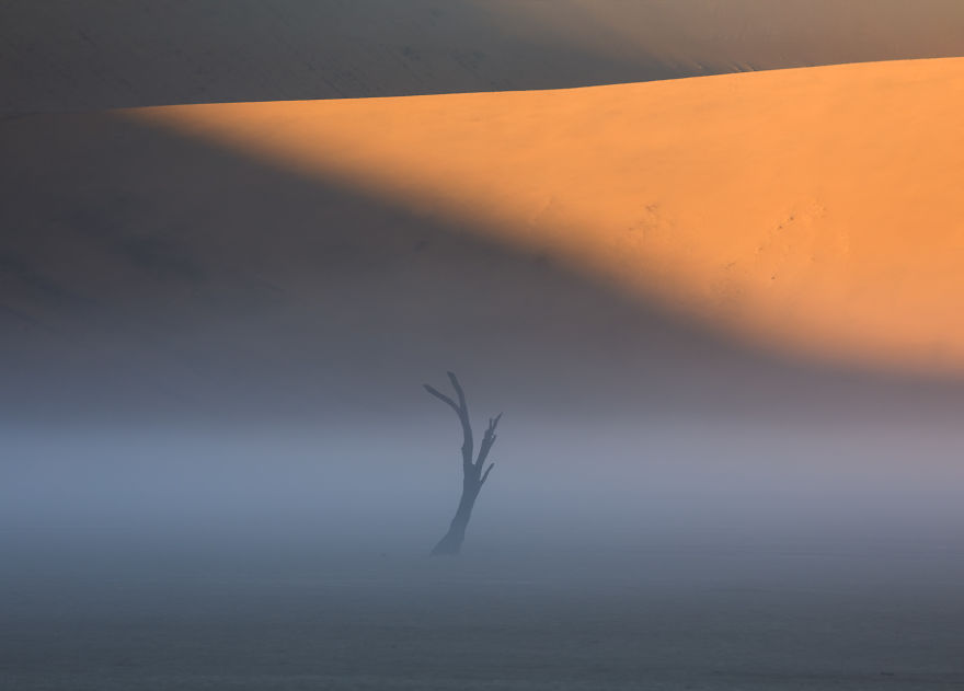 Images Of The Dead Trees Of Deadvlei In Magical Mist After A Rainstorm