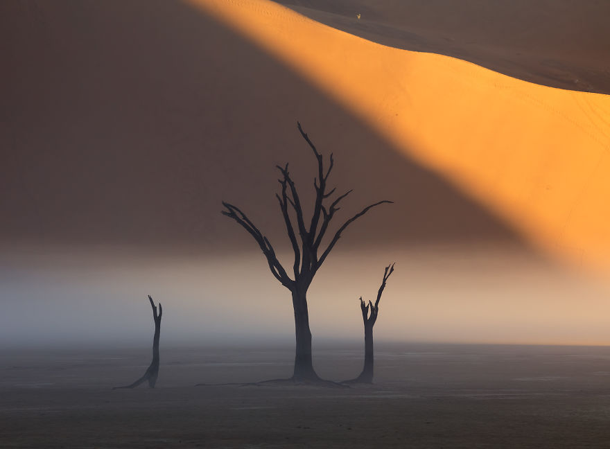 Images Of The Dead Trees Of Deadvlei In Magical Mist After A Rainstorm