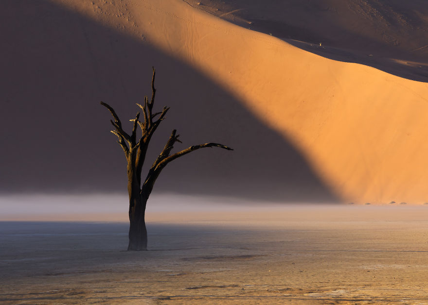 Images Of The Dead Trees Of Deadvlei In Magical Mist After A Rainstorm