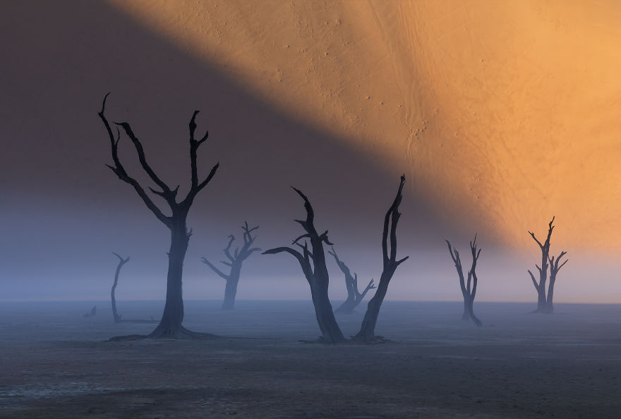 Images Of The Dead Trees Of Deadvlei In Magical Mist After A Rainstorm