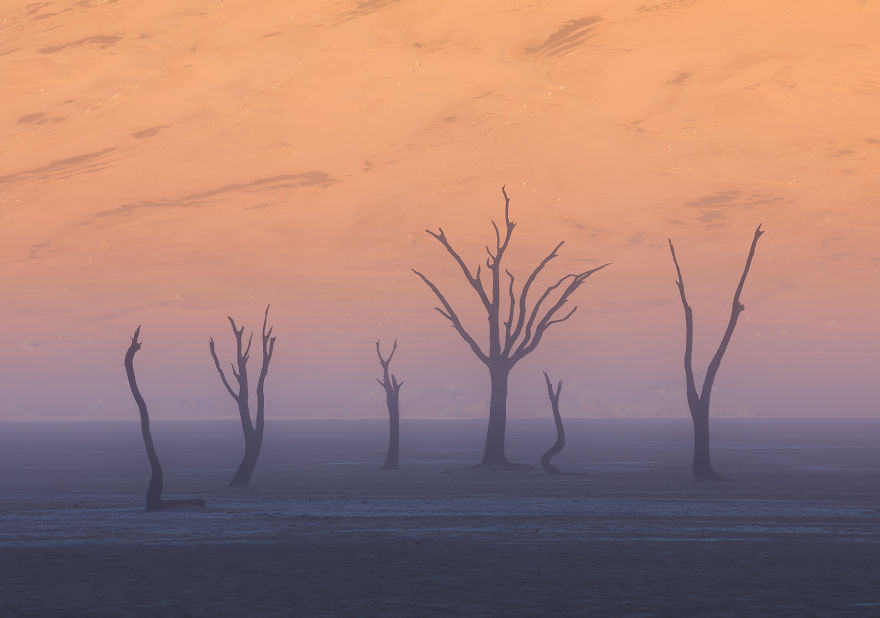 Images Of The Dead Trees Of Deadvlei In Magical Mist After A Rainstorm Images Of The Dead Trees Of Deadvlei In Magical Mist After A Rainstorm