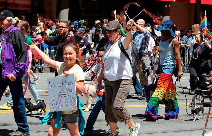  I'm Not Gay, I Just Like Rainbows