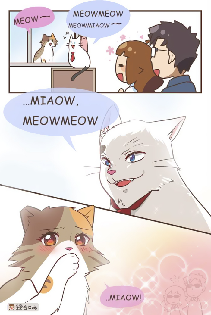 Illustrations-Relationship-Cute-Tin-Xuan-Mixflavor