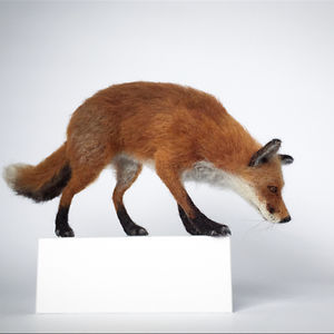 mikaela-bartlett avatar