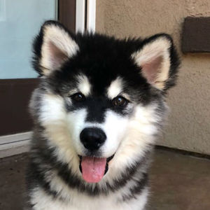 kayleighdior98 avatar