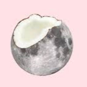 wilfredthepotato avatar