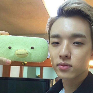 sofiahernandez avatar