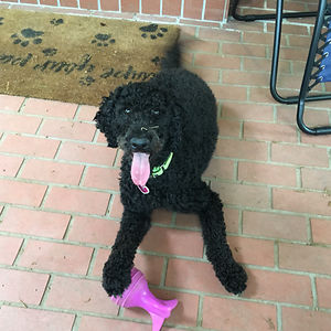 theronbaron13 avatar