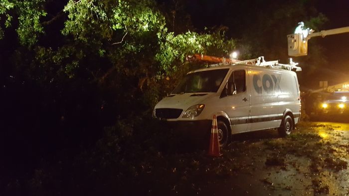 A Few Days Ago A Tree Fell In Our Front Yard (Please Read Description) A Few Days Ago A Tree Fell In Our Front Yard (Please Read Description)