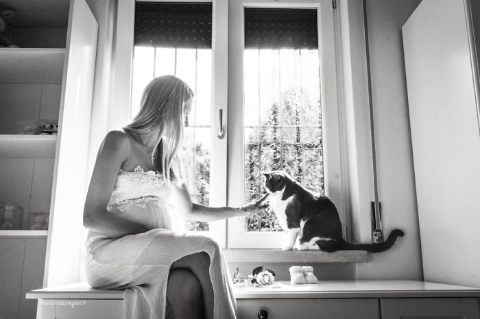 I Photograph Mommies-To-Be With Their Cats To Fight Prejudices