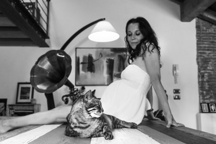 I Photograph Mommies-To-Be With Their Cats To Fight Prejudices I Photograph Mommies-To-Be With Their Cats To Fight Prejudices