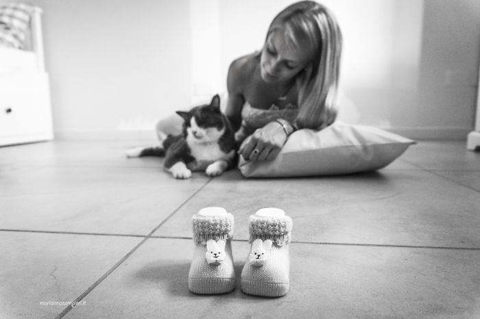 I Photograph Mommies-To-Be With Their Cats To Fight Prejudices I Photograph Mommies-To-Be With Their Cats To Fight Prejudices