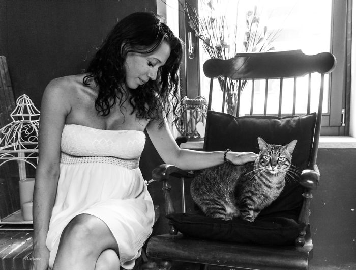 I Photograph Mommies-To-Be With Their Cats To Fight Prejudices I Photograph Mommies-To-Be With Their Cats To Fight Prejudices
