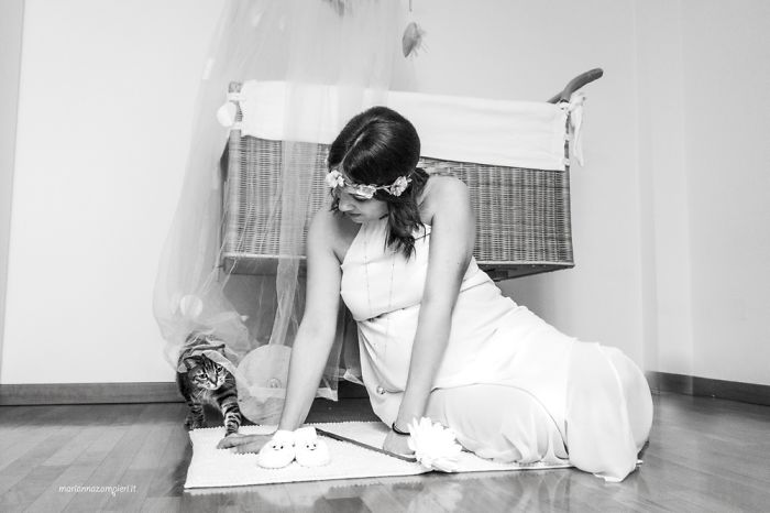 I Photograph Mommies-To-Be With Their Cats To Fight Prejudices I Photograph Mommies-To-Be With Their Cats To Fight Prejudices