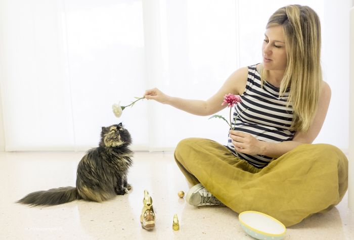 I Photograph Mommies-To-Be With Their Cats To Fight Prejudices