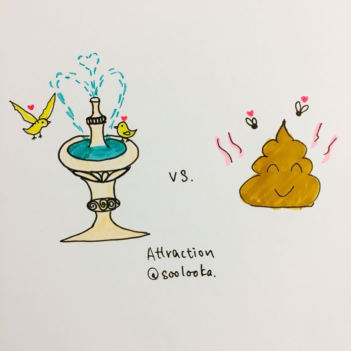 Shit Attracts Flies And Fountain Attracts Birds