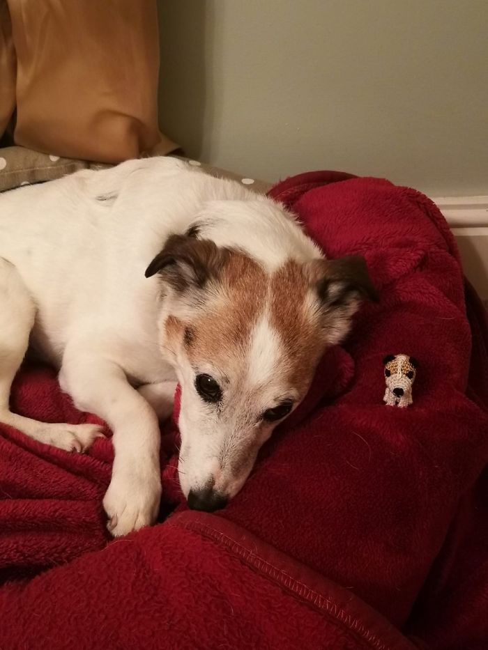 Pocket Replica Of Your Pooch