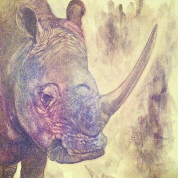 Illustrating With Gouache