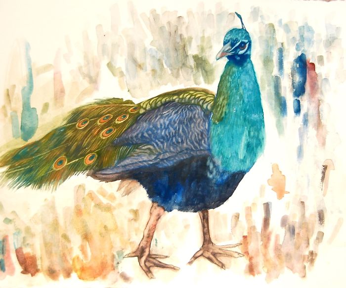 Illustrating With Gouache